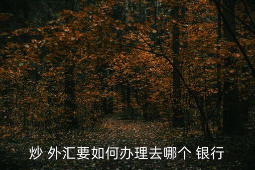 炒 外匯要如何辦理去哪個(gè) 銀行