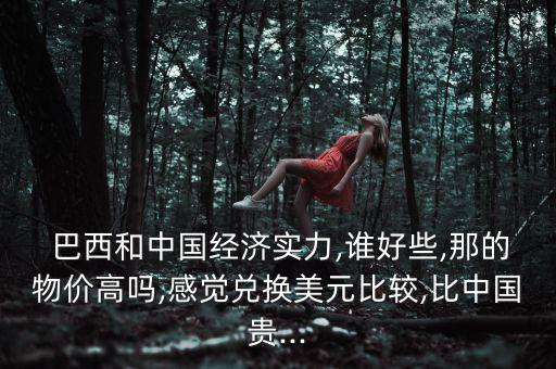  巴西和中國經(jīng)濟(jì)實(shí)力,誰好些,那的物價高嗎,感覺兌換美元比較,比中國貴...