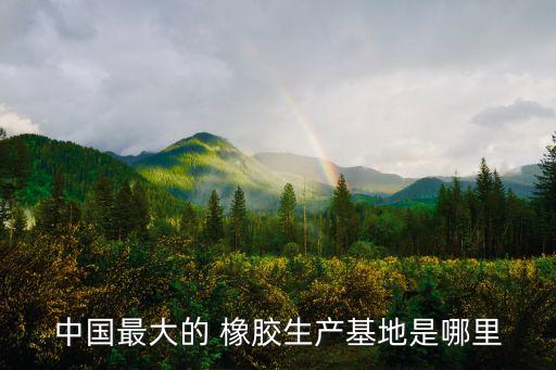 海南天然橡膠產(chǎn)業(yè)集團股份有限公司