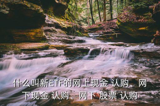 股票認購款是什么,股票rsl是什么意思