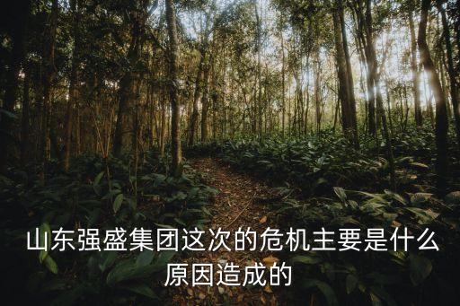  山東強盛集團這次的危機主要是什么原因造成的