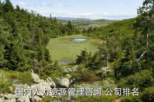 國(guó)內(nèi)人力資源管理咨詢(xún) 公司排名