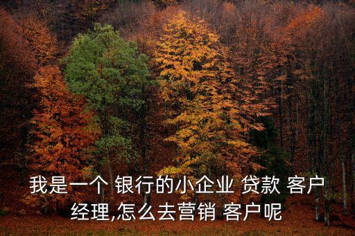 我是一個(gè) 銀行的小企業(yè) 貸款 客戶經(jīng)理,怎么去營(yíng)銷 客戶呢
