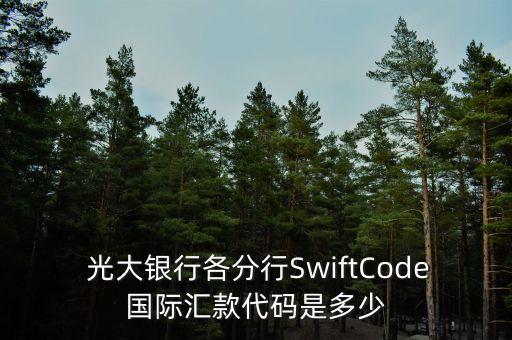 中國(guó)光大銀行西安東大街支行行號(hào),光大銀行西安經(jīng)濟(jì)技術(shù)開發(fā)區(qū)支行