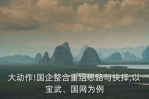 大動(dòng)作!國(guó)企整合重組思路與抉擇,以寶武、國(guó)網(wǎng)為例