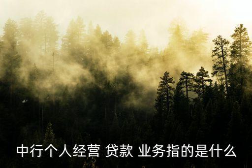 中行個(gè)人經(jīng)營(yíng) 貸款 業(yè)務(wù)指的是什么