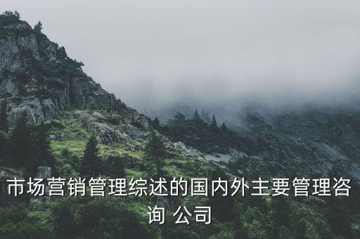 市場(chǎng)營(yíng)銷(xiāo)管理綜述的國(guó)內(nèi)外主要管理咨詢(xún) 公司
