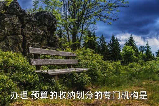 辦理 預算的收納劃分的專門機構是