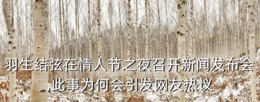 羽生結(jié)弦在情人節(jié)之夜召開新聞發(fā)布會(huì),此事為何會(huì)引發(fā)網(wǎng)友熱議