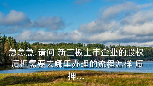 急急急!請(qǐng)問(wèn) 新三板上市企業(yè)的股權(quán) 質(zhì)押需要去哪里辦理的流程怎樣 質(zhì)押...