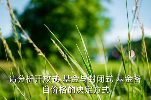 請分析開放式 基金與封閉式 基金各自價(jià)格的決定方式