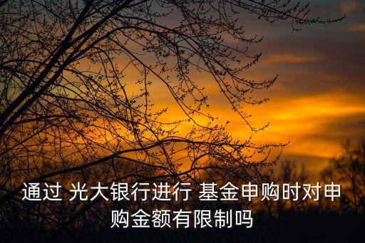 通過 光大銀行進(jìn)行 基金申購(gòu)時(shí)對(duì)申購(gòu)金額有限制嗎