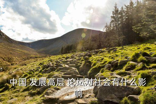 中國 發(fā)展高層 論壇對(duì)社會(huì)有什么影響