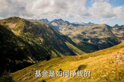 上市銀行代理基金收入,哪個(gè)銀行的基金是穩(wěn)定收入的