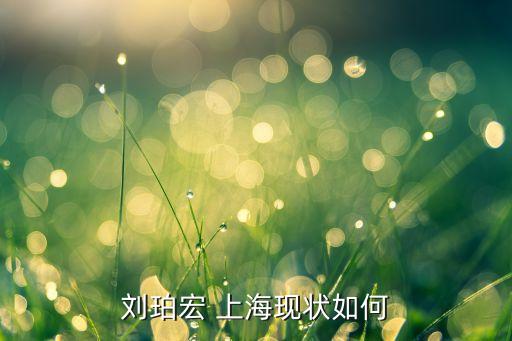 劉珀宏 上?，F(xiàn)狀如何