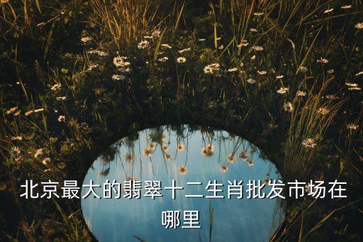  北京最大的翡翠十二生肖批發(fā)市場在哪里