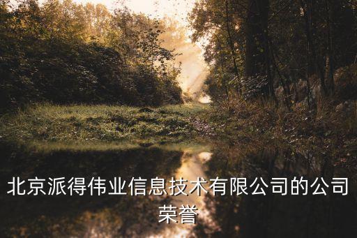 北京派得偉業(yè)信息技術有限公司的公司榮譽