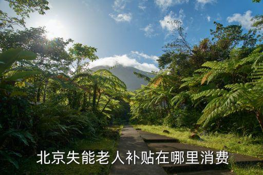 北京失能老人補(bǔ)貼在哪里消費