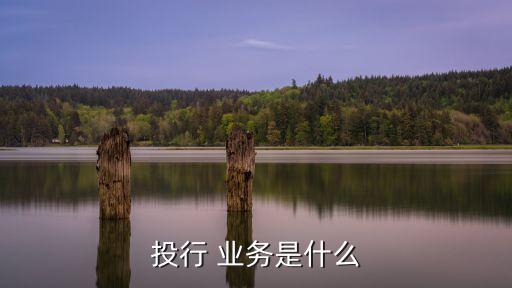 投行 業(yè)務是什么