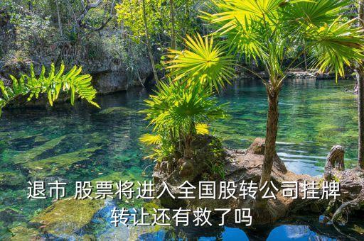  退市 股票將進入全國股轉(zhuǎn)公司掛牌轉(zhuǎn)讓還有救了嗎