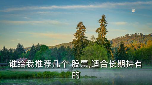 誰給我推薦幾個(gè) 股票,適合長(zhǎng)期持有的