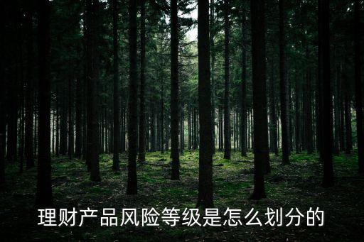 理財產(chǎn)品風險等級是怎么劃分的