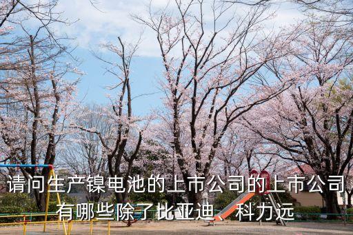 請問生產(chǎn)鎳電池的上市公司的上市公司有哪些除了比亞迪、科力遠