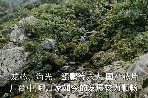  龍芯、海光、鯤鵬等六大 國(guó)產(chǎn)芯片廠商中,哪幾家如今的發(fā)展較為順暢