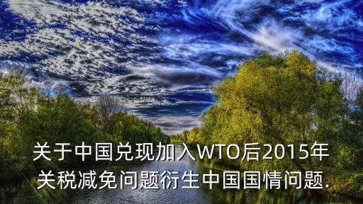 關于中國兌現(xiàn)加入WTO后2015年 關稅減免問題衍生中國國情問題.