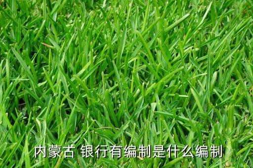 內蒙古銀行是國企嗎