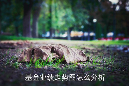 基金凈值增長率的波動(dòng),基金增長率的波動(dòng)程度