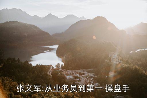 中國(guó)十大營(yíng)銷操盤(pán)手,營(yíng)銷操盤(pán)手要具備什么專業(yè)能力
