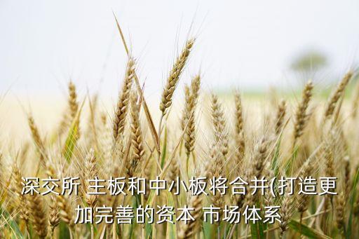 中國股票主板市場規(guī)模