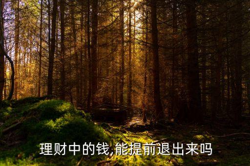  理財(cái)中的錢,能提前退出來(lái)嗎