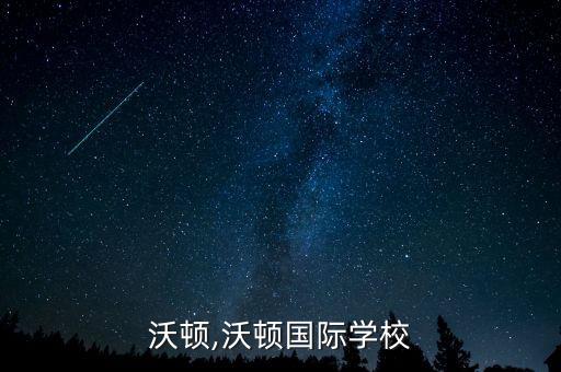 中國沃頓,沃頓國際學校