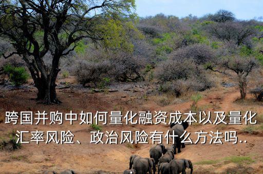 跨國并購中如何量化融資成本以及量化匯率風險、政治風險有什么方法嗎...