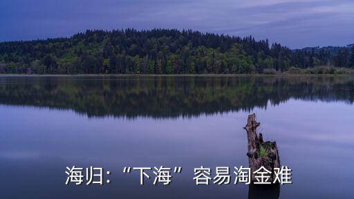  海歸:“下?！比菀滋越痣y