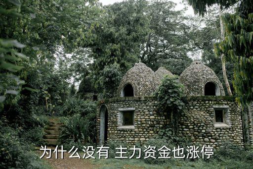 股票沒主力機構(gòu),股票里面主力、機構(gòu)分別是什么意思