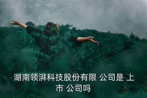  湖南領湃科技股份有限 公司是 上市 公司嗎