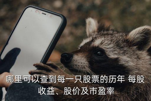哪里可以查到每一只股票的歷年 每股 收益、股價及市盈率