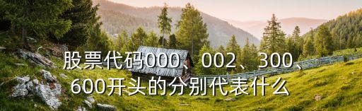  股票代碼000、002、300、600開頭的分別代表什么