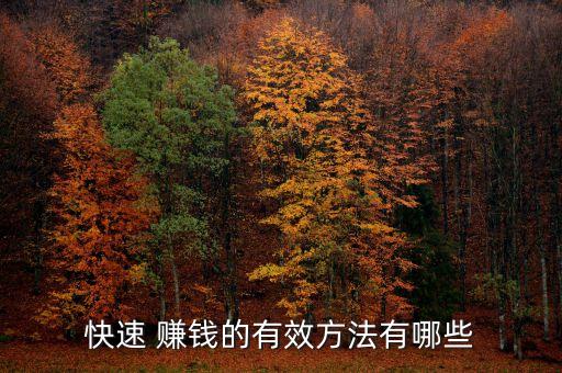 賺錢快理財(cái)投資平臺,p2p理財(cái)平臺真的賺錢嗎