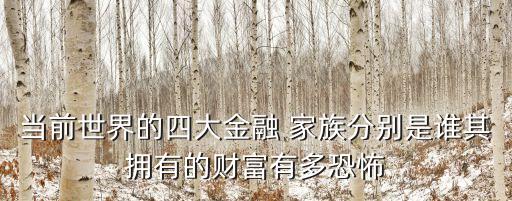 當(dāng)前世界的四大金融 家族分別是誰其擁有的財富有多恐怖