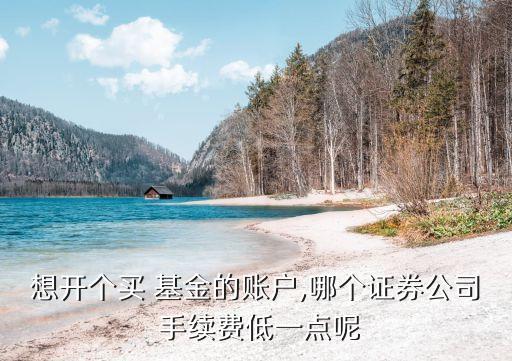 想開個買 基金的賬戶,哪個證券公司 手續(xù)費低一點呢
