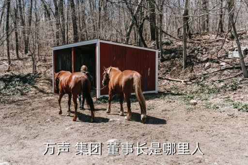 萬元集團董事長,陜西環(huán)保集團董事長