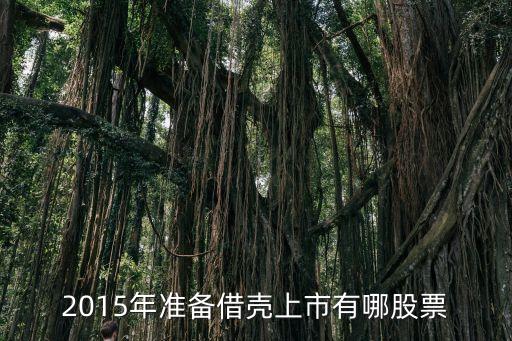 2015年準備借殼上市有哪股票