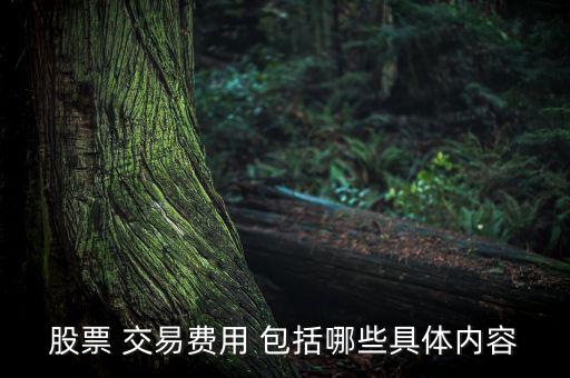 股票 交易費用 包括哪些具體內容