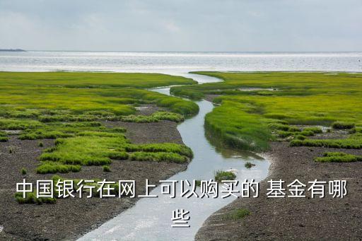 中國(guó)銀行在網(wǎng)上可以購(gòu)買(mǎi)的 基金有哪些