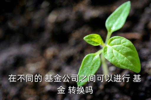 在不同的 基金公司之間可以進行 基金 轉換嗎