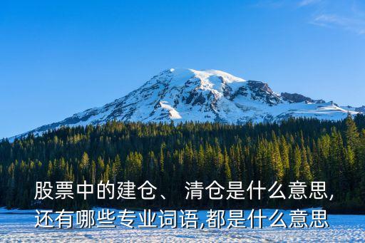  股票中的建倉、 清倉是什么意思,還有哪些專業(yè)詞語,都是什么意思